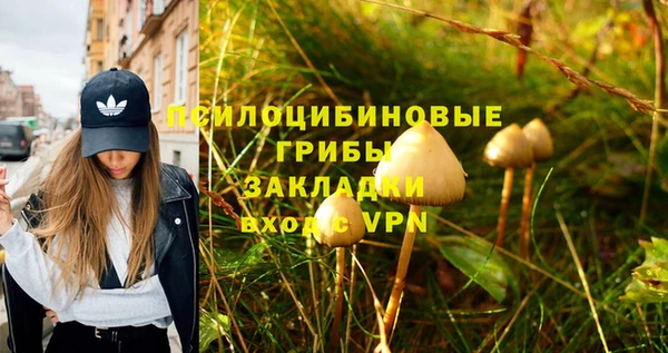 бутират Кукмор