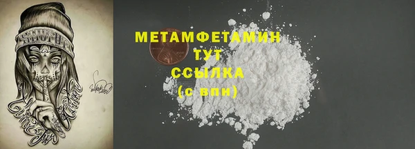 PSILOCYBIN Корсаков