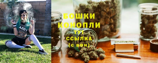 ПСИЛОЦИБИНОВЫЕ ГРИБЫ Куйбышев