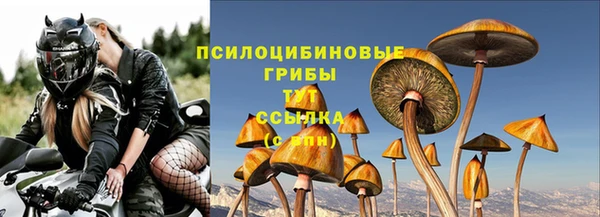 бутират Кукмор