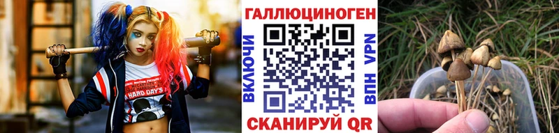Галлюциногенные грибы мицелий  площадка телеграм  Ладушкин  где найти  